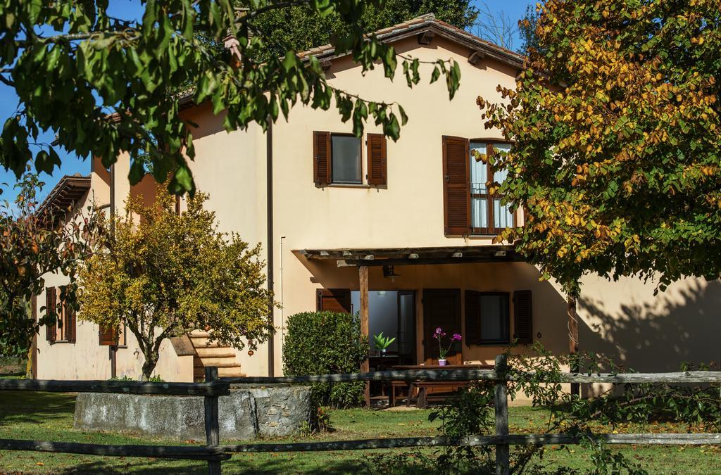 Agriturismo Olmo Bello Capodimonte Εξωτερικό φωτογραφία